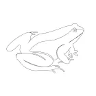 frog amphibia animal one line image