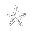 starfish echinoderm sea animals one line image
