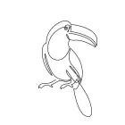 Toucan bird