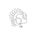 Beginner Turkey Drawing in One Line: Learn to Simplify Animal Forms