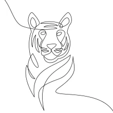 Head tiger