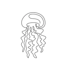 jellyfish cnidaria one line image