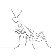 mantis insects animals one line image