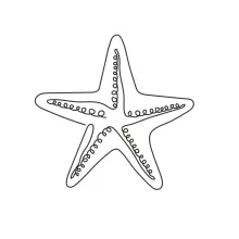 starfish echinoderm sea animals one line image