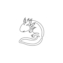 Cute Axolotl One-Line Drawing for Exploring Whimsical Animal Shapes