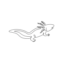 Adorable Axolotl Drawing Using One Line: Build Drawing Confidence with Unique Creatures