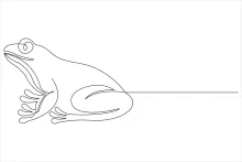 One-Line Drawing of a Frog: A Simple Exercise for Learning Proportion