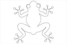 Easy Frog Drawing in One Line for Young Artists Exploring Animal Shapes