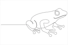 One-Line Frog Art to Develop Visual Thinking and Drawing Simplicity