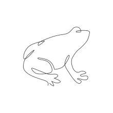 Easy One-Line Drawing of a Cute Frog to Build Artistic Confidence