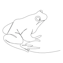 Basic Frog Drawing in One Line for Daily Drawing Routines