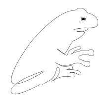 How to Draw a Frog with One Line: Strengthen Drawing Flow and Form Recognition