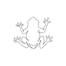 Draw a Funny Frog in One Line: Learn to Sketch Expressive Animal Shapes