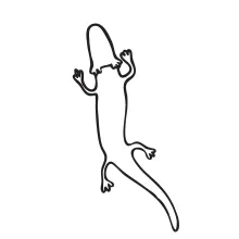 One-Line Drawing of Proteus Anguinus: Explore Unusual Amphibians Through Line Art