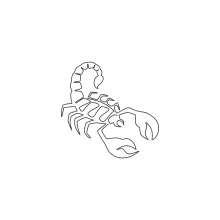 Wild scorpion continuous line drawing for beginners.