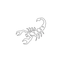 Simple scorpion continuous line nature study drawing.