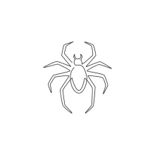 Spider spreading long legs simple line art.