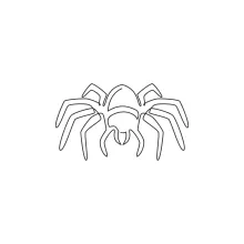 Big wild spider one line art drawing.
