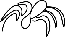 Minimalist spider drawing simple nature insect.