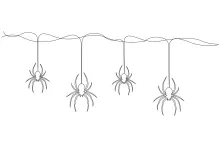 Four wild spiders sitting on a spiderweb drawing.