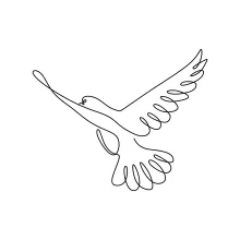 "One Line Drawing of a Bird in Flight: A Simple Technique for Dynamic Art"