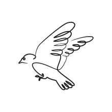 One-Line Bird Drawing for Beginners: Learn Proportions and Shapes Through Simplicity