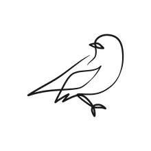 Basic One-Line Bird Drawing: Practice Observation with Easy, Familiar Animal Shapes
