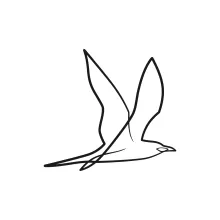 One-Line Drawing of a Small Bird: Practice Quick Sketching with Recognizable Forms