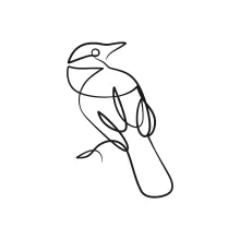 Simple One-Line Bird Drawing: Build Confidence with Basic Shapes and Clear Outlines