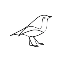 One-Line Small Bird Sketch: A Simple Way to Explore Bird Shapes for Beginners