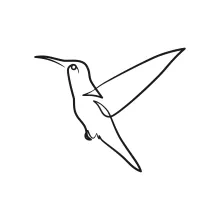 Simple One-Line Bird Art: Improve Visual Focus with Basic Animal Shapes