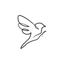 One-Line Bird Drawing: Discover Proportions with a Simple and Familiar Subject