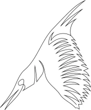 One-Line Flying Bird Sketch: Learn Wing Placement and Movement Basics