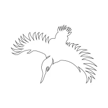 One-Line Flying Bird Drawing: Train Shape Balance Through Airborne Pose