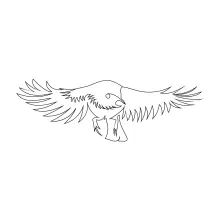 Flying Bird One-Line Sketch: Build Confidence Drawing Common Motion Forms