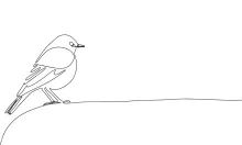 "Minimalist One-Line Sitting Bird Drawing: Capturing a Calm and Restful Wildlife Moment"