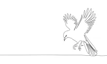 "One-Line Flying Bird Drawing: A Minimalist Approach to Capturing Motion"