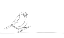 "Minimalist One-Line Bird Drawing: Capturing the Essence of Small Wildlife in Simple Art"