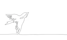 "Minimalist One-Line Bird Drawing: Capturing Delicate Charm in Simple Art"