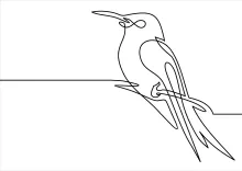 "One-Line Bird Drawing: A Minimalist Approach to Representing Avian Beauty"