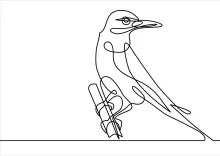"Minimalist One-Line Bird Drawing: Capturing Avian Elegance in Simple Art"