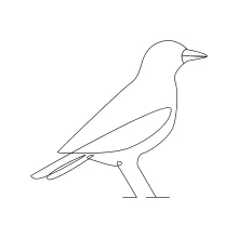 Simple Bird One Line Drawing to Build Shape Recognition for Young Artists