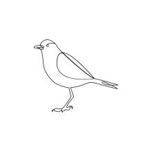 "Minimalist One Line Bird Drawing: Capturing the Essence of Avian Elegance"