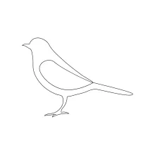 "One Line Bird Drawing: A Minimalist Approach to Capturing Avian Elegance"