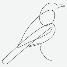 "Minimalist One Line Bird Drawing: Capturing Nature’s Energy in Simple Art"