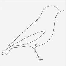 "One Line Bird Drawing: A Minimalist Approach to Avian Beauty and Form"