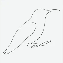 "One Line Bird Drawing: A Minimalist Approach to Capturing Avian Elegance"