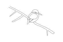 One Line Kingfisher Bird Drawing: Learn Bird Shapes with Simple Line Art