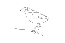 One Line Bird Drawing for Beginners: Learn Animal Shapes with Simple Drawing