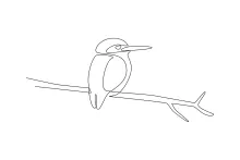 Learn to Draw a Kingfisher with One Line: Easy Bird Art for All Skill Levels